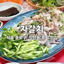 종로3가역 포장마차 맛집 : 자갈치 / 익선동 노포 감성 야장 술집 추천! 자연산막회, 곤이해물칼국수 먹방