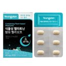 영진약품(주) 이미지
