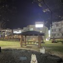 땡초김밥 팔용동점 이미지