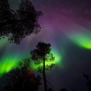 와일드피싱 | 2026 최신판 핀란드 여행 | 영하 20도에도 춥지 않을까? 아이스 플로팅 낮 vs 밤(오로라) 비교 분석