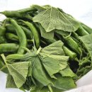 대랑농장 이미지