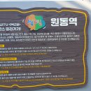 원동 매화마을(경남양산) 이미지