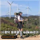 축산항초등학교 | 2025 아이더하이커스데이 in 영덕 블루로드 3박4일 - 2일차 후기