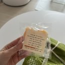 창신견과 이미지
