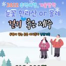 눈꽃투어 걷기 좋은 제주 2022년 겨울방학,추억여행 걷기 좋은 제주 올레,한라산 두발이 닿은곳은 어디든지 낭만가득 산과 바다를 이미지