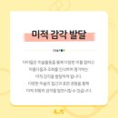 내가 그리는 미술세상 네이버블로그