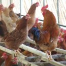 복전농장 이미지