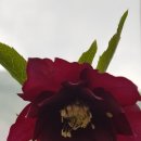 가온하우스 이미지