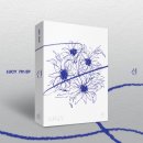 루시21