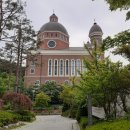 리프러리사랑의원 이미지