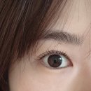 선물같은오늘(비하점) | 목동 속눈썹펌 추천 비하브로우 솔직 후기