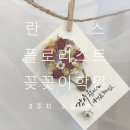 란스플로리스트 꽃꽂이 학원 - 3주 수업 후기(내일배움카드)