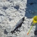 사항제2낚시터 이미지