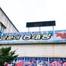 바다 양푼이 동태탕 이미지