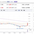 세림동물병원 이미지
