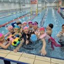 금호초병설유치원 이미지