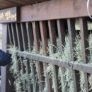 도담 염소농장 이미지