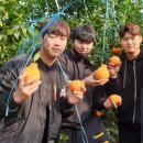 엘지농장 이미지