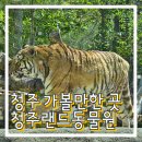 우리PC 게임랜드 | 청주 가볼만한 곳 청주랜드 동물원 입장료 천원의 행복 데이트 코스 / 아기랑 가기 좋은 곳 추천