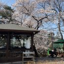 가락공원2 (족구장) 화장실 | 부산 해신탕 맛집 서가네오리 : 가야공원 벚꽃명소 야장 낮술 추천 후기