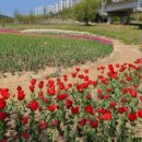 낙동강관리본부 화명생태공원 7 이미지