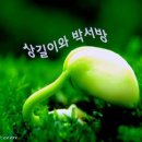 상길 Daum카페