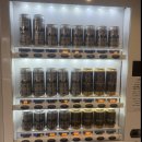 카멜리아 이미지