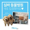 심바동물병원 이미지