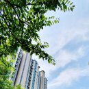 강남한방공인중개사사무소 이미지