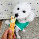 설레개 | 강아지 츄르 추천, 약 먹일 때 딱 좋은 애견간식 설레개