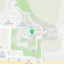 양귀비염색방 네이버블로그