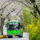 산서로 위키트리