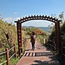 백야태양광발전소 이미지