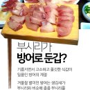 방어·부시리 구분이 되나? “서로 닮은 듯 다른 방어와 부시리 구별법?” 이미지