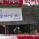 박씨농장 이미지