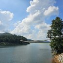 마장호수 주차장 | 출렁다리] 아이와 함께 걷기 좋은｜마장호수 산책코스 후기 (제2주차장 출발 → 출렁다리 건너는 짧은...