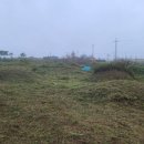 보천농장 이미지