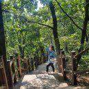 이경민농장 | 일곱번째 일상의 기록: 뒤죽박죽 이야기/ 벼락치기 10월달