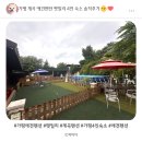 펫밀리펜션 | 가평 계곡 애견동반 펜션 펫밀리 재방문 글쎄요
