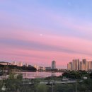 록시드갸토 이미지