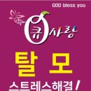 큐사랑용두점