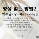 하나님의교회 새언약 유월절속에 담긴 변화의 약속 이미지