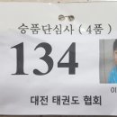 용인대 정심태권도 이미지