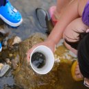 써니밸리오토캠핑장 이미지