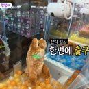 인형뽑기달인 이미지