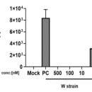 (주)디알나노 이미지