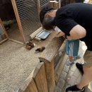 관보농장 이미지