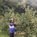 이든농장 이미지