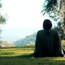 비베호디에 이미지