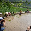 영선농장 이미지